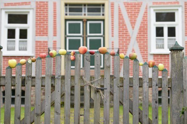 Das Freilichtmuseum hat sich schon für den Apfeltag eingestimmt. - © LWL