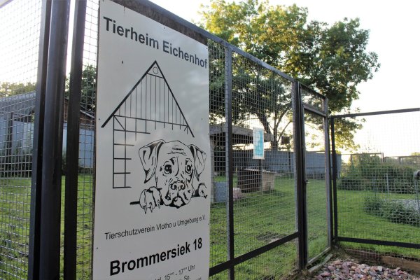 Laut der Pressemitteilung des Tierschutzvereins Vlotho und Umgebung sind mehrere Gespräche mit der Stadt Herford über eine Anhebung der Fundtierpauschale ohne Ergebnis geblieben. Jetzt ziehen die Betreiber des Tierheims Eichenhof Konsequenzen. - © Anastasia von Fugler
