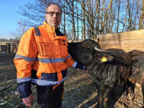 Dirk Grote hat ein sehr vertrautes Verhältnis zu den Tieren - Mariela liebt es, ihren Kopf auf dem Arm abzulegen und sich kraulen zu lassen. - © Astrid Sewing