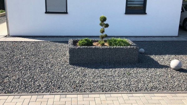 Schottergärten wie dieser sind in einigen lippischen Städten verboten – zumindest in Neubaugebieten. - © NABU/Dietmar Oeliger