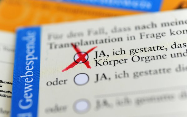 Nur bei 15,3 Prozent der möglichen Organspender war 2024 ein schriftlicher Wille vorhanden, obwohl ein Organspendeausweis, den man online bestellen kann, ausreicht. - © picture alliance/dpa