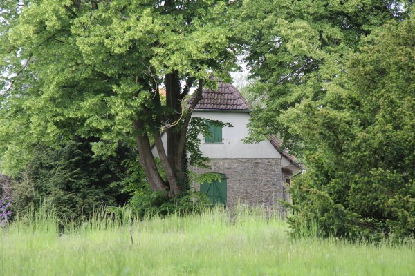 Ein verwunschenes Haus: Das zwischen Bäumen und Büschen versteckte Gebäudeensemble Rühlmannstätte ist in einem schlechten Zustand und zudem ein Denkmal. - © Dieter Asbrock