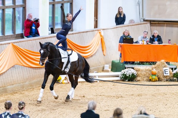 Eine Klasse für sich: Der Holsteiner Wallach - Carressino - wurde als bestes Pferd ausgezeichnet. Hier zu sehen mit Kalletaler Turnerin Julia Uhlenbrock. - © Daniel Ellwanger, Vaulting World