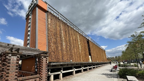 Noch klafft ein Loch im Gradierwerk am Rosengarten - hier hat man geprüft, wie es um die Statik im Inneren des Wahrzeichens steht. Auch der Schwarzdorn wird hier über kurz oder lang ausgetauscht werden müssen. - © Sven Kienscherf