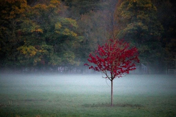 Ab dem Wochenende wird es in Ostwestfalen-Lippe in den Abend- und Nachtstunden kälter. Das Hochdruckgebiet sorgt in der kommenden Woche nicht nur für kühlere Temperaturen, sondern auch immer wieder für Nebel. - © Daniel Vogl/dpa