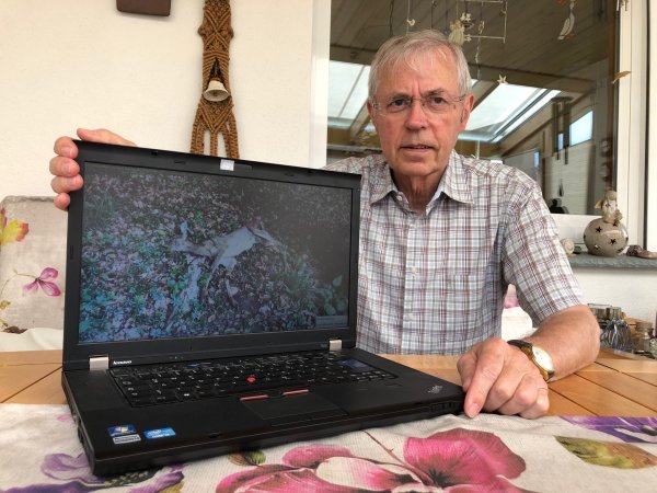 Jäger Martin Lücking zeigt auf seinem Laptop ein Reh, das vermutlich einem Hund zum Opfer gefallen ist. - © Sven Kienscherf
