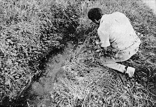 Spurensuche eines Beamten der Bielefelder Moprdkommission: An dieser Stelle fanden drei spielende Jugendliche im Sommer 1992 die Leiche. - © Scherzer/LZ, 20. August 1992