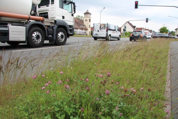 Die Ehlentruper Straße soll in Kürze saniert werden - von der Kreuzung, an der das ehemalige Feuerwehrhaus von Pivitsheide V.H. steht (hier im Hintergrund), in Richtung Lage. - © Jana Beckmann