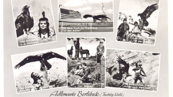 Diese Postkarte aus dem Jahr 1966 zeigt sechs Aufnahmen aus Filmen, in denen Steinadler Peter beteiligt war. - © Stadtarchiv Detmold