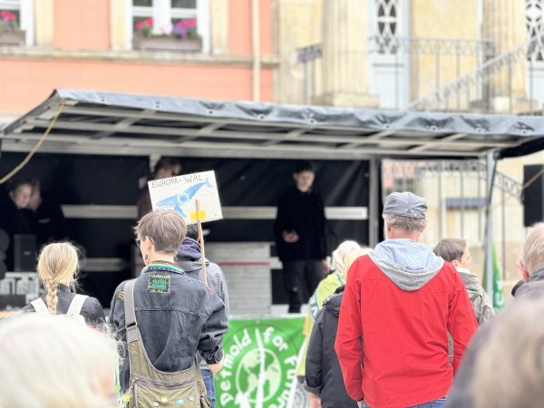 Zu einer Demonstration von Fridays for Future sind am Freitag rund 70 Menschen auf den Detmolder Marktplatz gekommen. - © Raphael Bartling