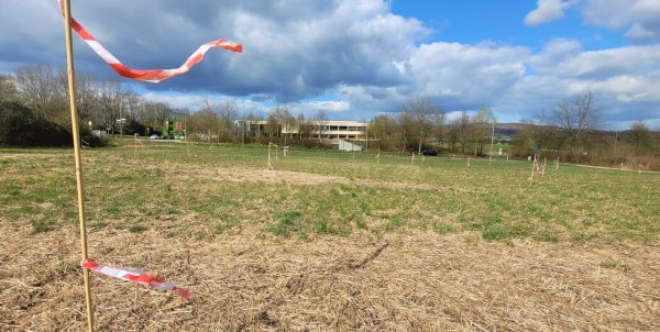 Die Flatterbänder an der Liebigstraße sind Vorzeichen eines Großprojektes. - © Katrin Kantelberg