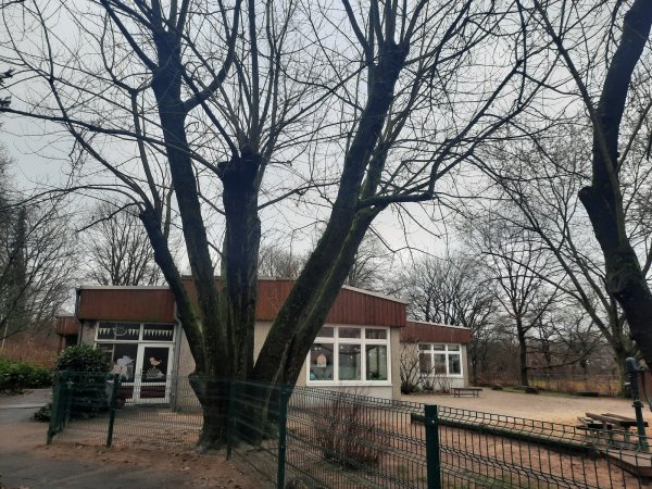 Kita Gartenstraße wird umgebaut. - © Michaela Weiße