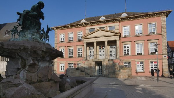 Die AfD verliert den Fraktionsstatus im Detmolder Stadtrat. - © Jost Wolf