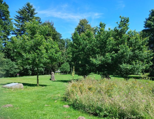 Der Park in Rischenau feiert sein 50-jähriges Bestehen. - © Andreas Rahns