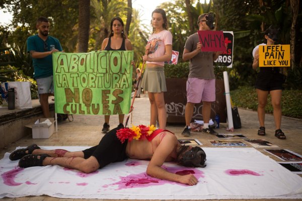 August 2023, Malaga: Aktivisten demonstrieren gegen Stierkämpfe. Letztere sind von der Reform ausgeklammert und dürfen weiter stattfinden. - © picture alliance / ZUMAPRESS.com