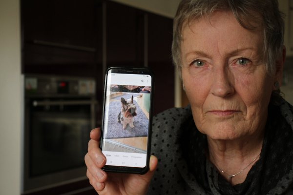 Anita Benedix (76) aus Scherfede bleiben nach dem Angriff eines Kampfhundes nur Erinnerungen an ihren „Jimmy“. - © Dieter Scholz