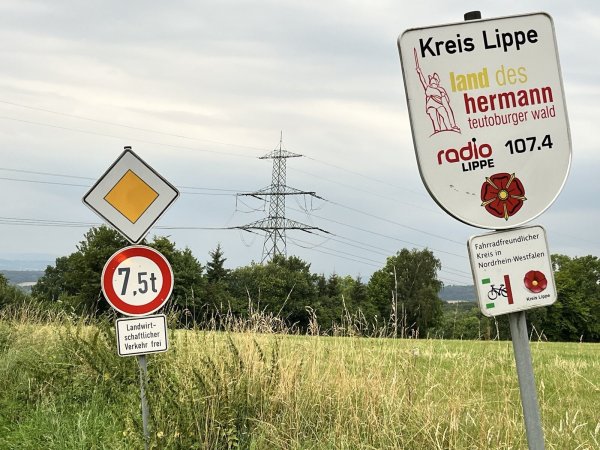 An einer Hochspannungsleitung am Reinertsberg bei Welstorf gab es am Donnerstag einen Schaden. Anwohner hörten einen lauten Knall. - © Till Brand