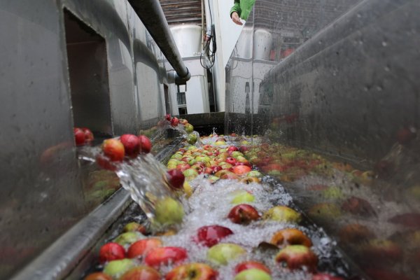 Für die Äpfel aus Lippe beginnt die Reise am Lohmannshof in der Waschstraße. - © Kyrill von Matuschka
