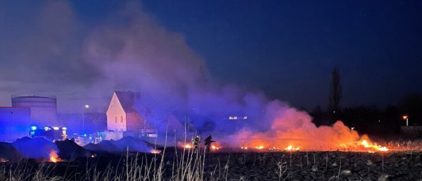 Die gesamte Wiese stand in Flammen. - © Freiwillige Feuerwehr Horn-Bad Meinberg