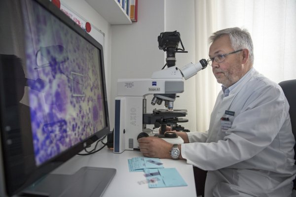 Professor Dr. Frank Hartmann wertet am Mikroskop eine Gewebeprobe aus. Das Ergebnis gibt dem Chefarzt der Onkologie des Klinikums Lippe wichtige Hinweise für die Krebstherapie. - © Klinikum Lippe
