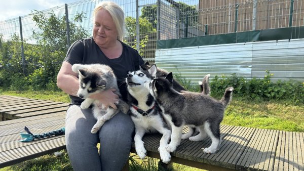 Melanie Vogt, Leiterin des Hundehauses, mit einem Teil der Husky-Familie. - © Sven Kienscherf