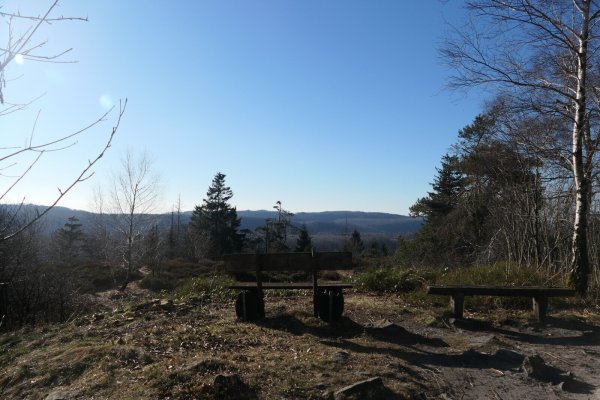 Beeindruckender Ausblick: Bänke an der Velmerstot wurden freigeschnitten. - © Landesverband Lippe