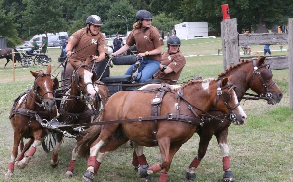 Andrea Ringe (vorne) fährt den Pony-Vierspänner, begleitet von den Beifahrerinnen Nele Pieper (Mitte) und Sophie Bruns. - © Paul Cohen