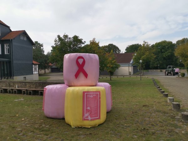 Vor der Zerstörung: Die in rosa Folie eingepackten Siloballen waren mit pinker Schleife und Plakaten zum Thema versehen. - © Sabine Mirbach