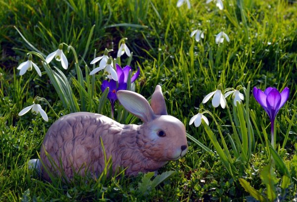 Die AWO Langenholzhausen hat ihr Frühlingsfest gefeiert. - © Symbolbild Pixabay