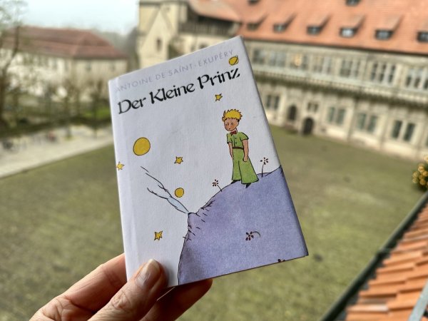 Familien mit Kindern ab fünf Jahren können am Sonntag, 16. Februar, ab 11 Uhr im Weserrenaissance-Museum Schloss Brake die Geschichte vom kleinen Prinzen erleben. - © Weserrenaissance-Museum Schloss Brake