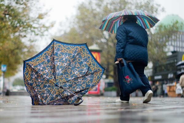 Für die Nacht zu Dienstag warnte der Deutsche Wetterdienst vor Sturmböen in OWL. - © Julian Stratenschulte/dpa