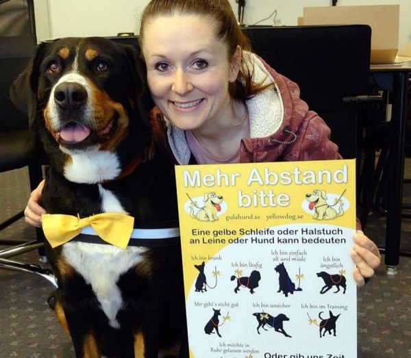 Geschäftsführerin Julia Stein mit Vereinsmaskottchen „Carlotta" und einem Hinweisschild über „Gelbe Hunde". - © Wulf Daneyko