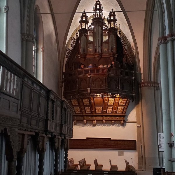 Die Schwalbennestorgel in St. Marien ist unter anderem Ziel der Stadtführung. - © CIIT