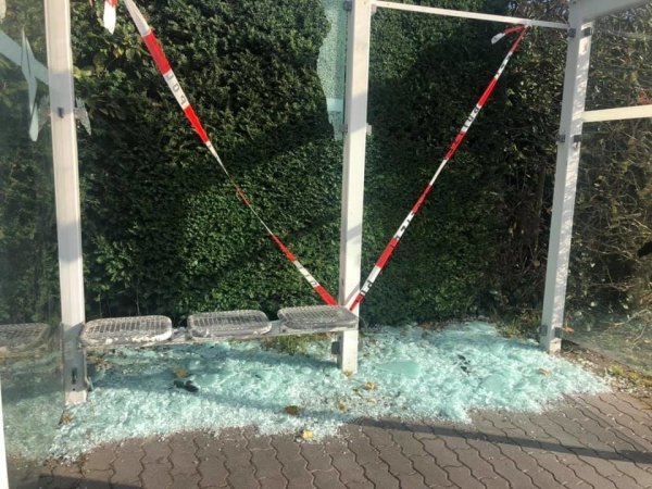 Das Bild aus Remmighausen stammt aus einer Zerstörungsnacht Anfang Oktober. - © Lena Schulz