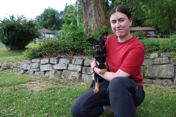 Der Pinscher-Mischling Hugo ist alleine in Blomberg gefunden worden. Momentan wohnt er bei Jessica Dey im Tierheim Detmold. - © Nico Düllmann