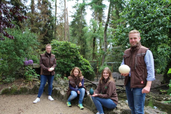 Die Biologinnen (von links) Denise Dörksen, Sarah Golüke und Chiara Rikken haben in Teamarbeit eine Zooschule aufgebaut. Vogelpark-Chef Marc-Philip Eckstein stellt das Material kostenlos im Internet zur Verfügung – es ist ein Dankeschön.  - © Astrid Sewing