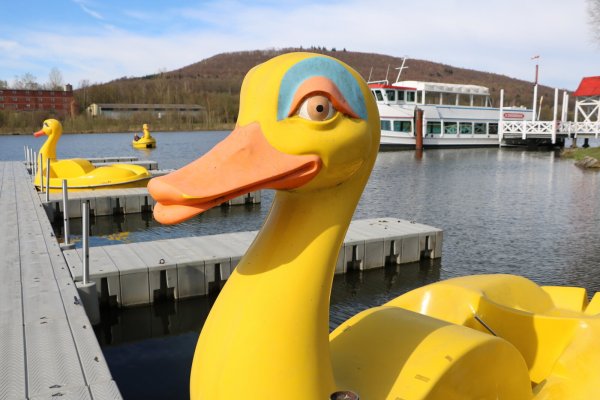 Lust auf Urlaubsfeeling in Lippe? Die Tretboot-Ente ist zu Wasser gelassen und bereit, um mit Gästen in See zu stechen. - © Silke Buhrmester