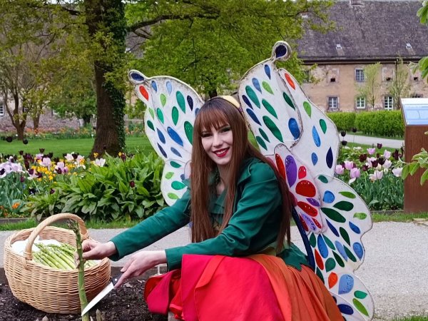Auch nach der Landesgartenschau ist Elfe "Holli", die Botschafterin der LGS, weiterhin im Einsatz. Hier erntet sie den Spargel im Remtergarten für die Schlemmermeile am Weserufer. An diesem Wochenende, 7. bis 9. Juni, dreht sich im Huxarium Gartenpark alles um Spargel und Erdbeeren. - © Huxarium Gartenpark