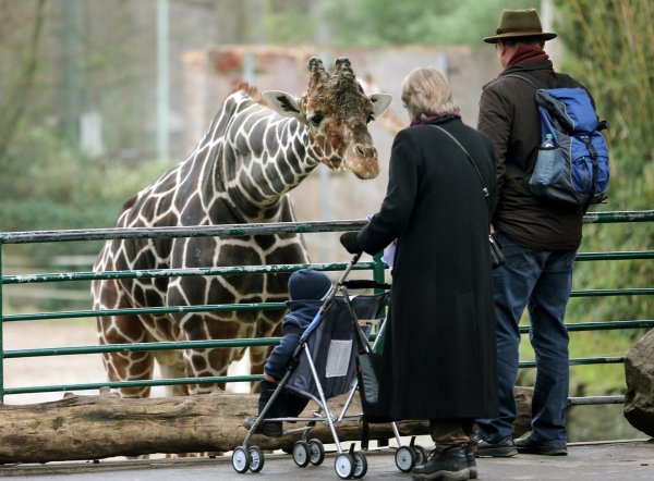 Zoobesuch - © Foto: Roland Weihrauch