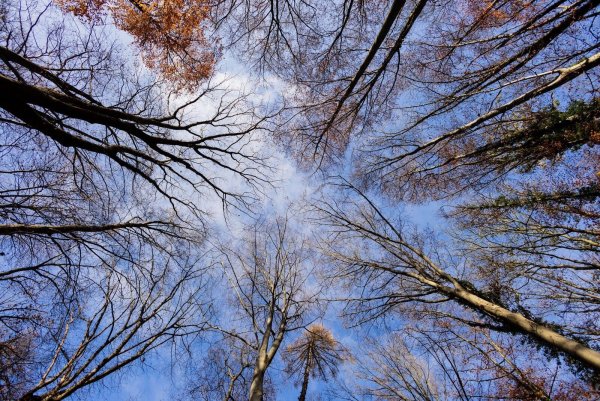 Das Wochenende bleibt sonnig in NRW. (Archivbild) - © Rolf Vennenbernd/dpa