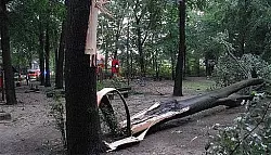 Fu&szlig;g&auml;ngerin durch herabst&uuml;rzenden Baum schwer verletzt - &copy; OWL