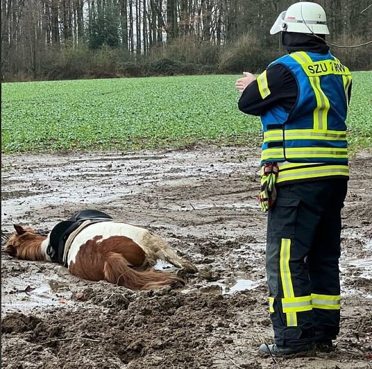EinPferd ist auf einem Acker im Bad Salzufler Ortsteil Papenhausen bis zurBrust im Matsch eingesunken. Die Freiwillige Feuerwehr Bad Salzuflen hilft mit vereinten Kräften bei der Rettung des Tieres. - © Freiwillige Feuerwehr Bad Salzuflen