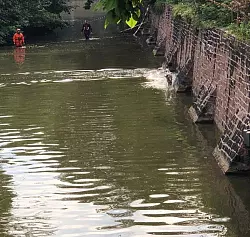 Tierrettung an der Schossgraft Bad Pyrmont - &copy; Feuerwehr L&uuml;gde