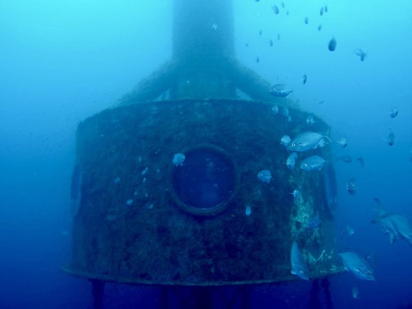 Koch drehte auch Videos von Fischen aus seiner Kapsel. - © ---/Ocean Builders/dpa