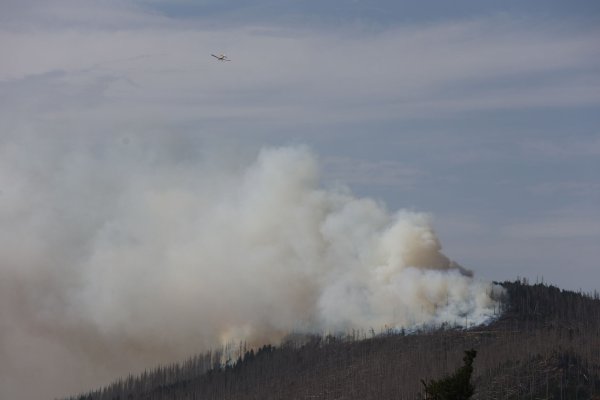 Vor zwei Jahren hatte der Landkreis Harz den Katastrophenfall wegen eines Brandes am Brocken ausgerufen - jetzt ist dort wieder ein Feuer ausgebrochen. - © Matthias Bein/dpa