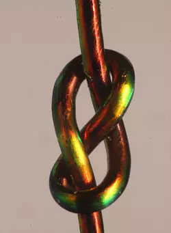 Achterknoten - &copy; Foto: Joseph Sandt/-/dpa