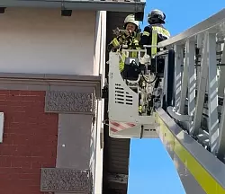 Erst mit der Drehleiter konnten die Retter das Tier erreichen. - © Feuerwehr Lage
