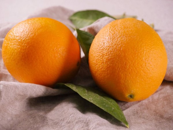 Sie mögen Orangen? Dann sollten Sie im Supermarkt auf die Sorten Valencia, Salustiana oder Pera achten - sie haben eine hohe Saftausbeute und einen süßlichen Geschmack. - © Katharina Frenzel/dpa-tmn