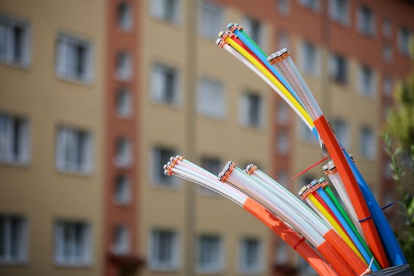 Erst mal angeschlossen, bieten sie Highspeed-Internet: Glasfaserkabel, die aus dem Sockel eines Schaltschranks herausragen. - © Jan Woitas/dpa