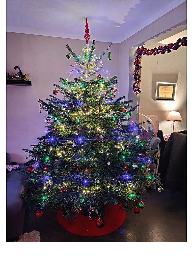 Weihnachtsbäume in Lippe